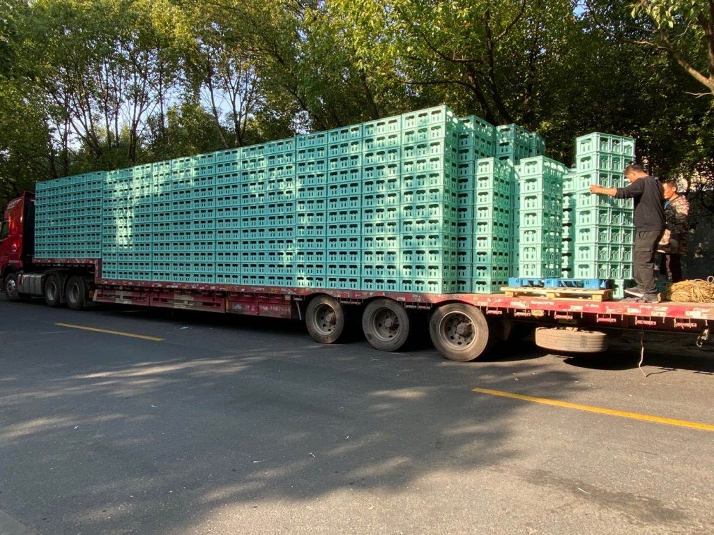 beer botter crate transport