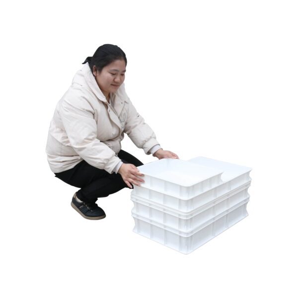 Commercial Pizza Dough Proofing Boxes