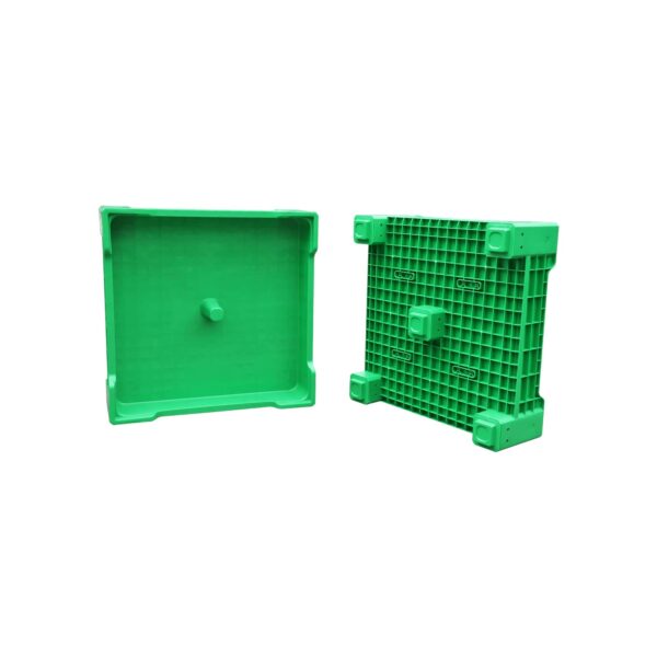 Insect rearing container
