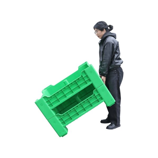 Insect rearing container