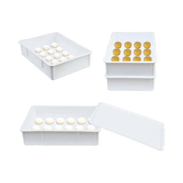 Pizza Dough Proofing Box with Lid