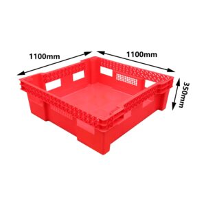 plastic insect containers