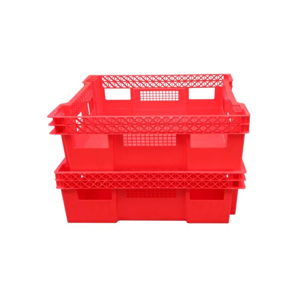 plastic insect containers