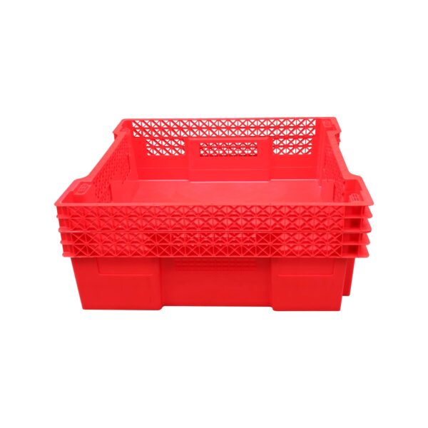 plastic insect containers
